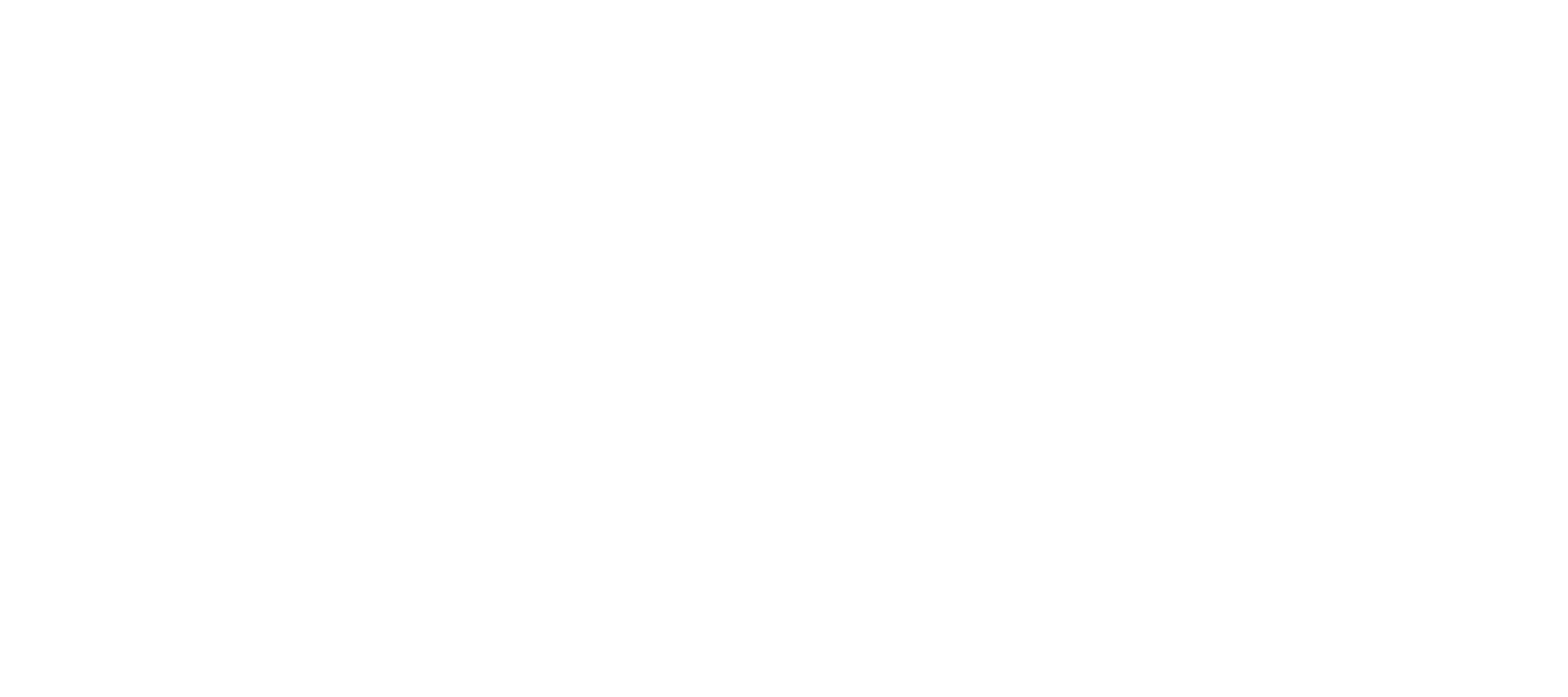 Balcan AI Systems